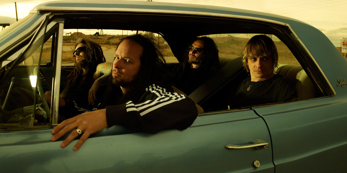 Korn, Remember Who You Are Album, 2008