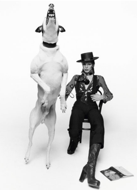 David Bowie with Jumping Dog View 2