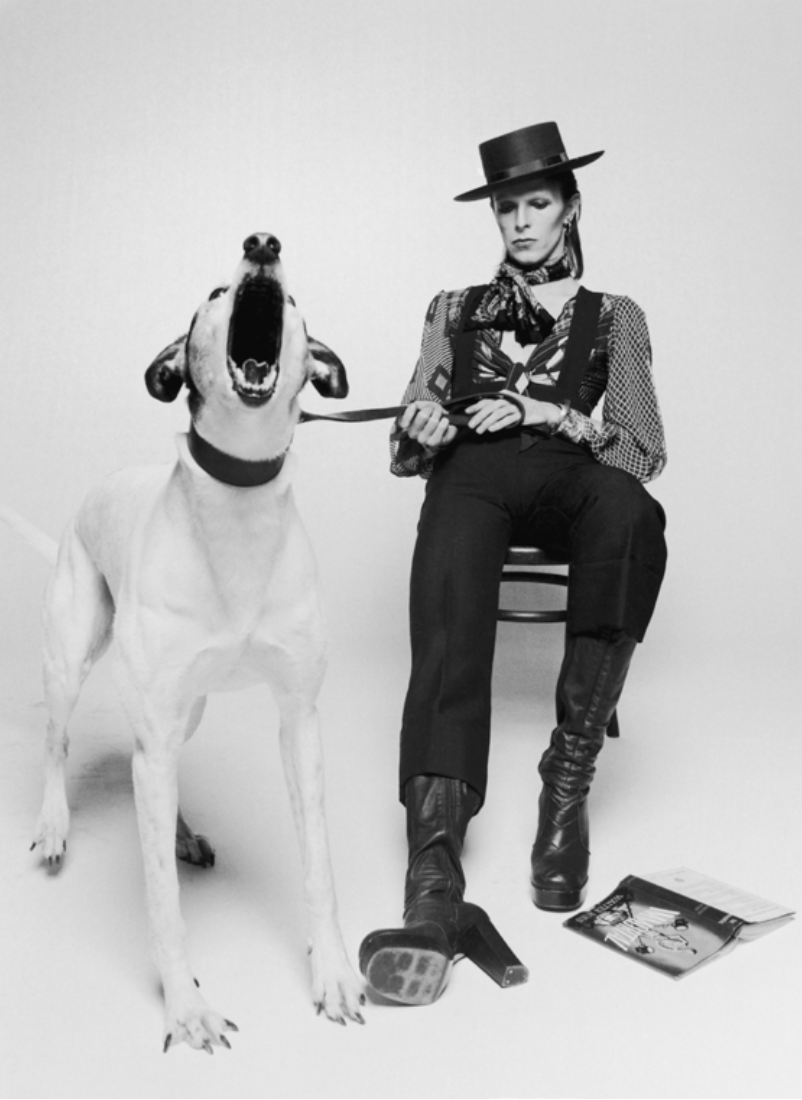 David Bowie with Jumping Dog, View 2, 1974