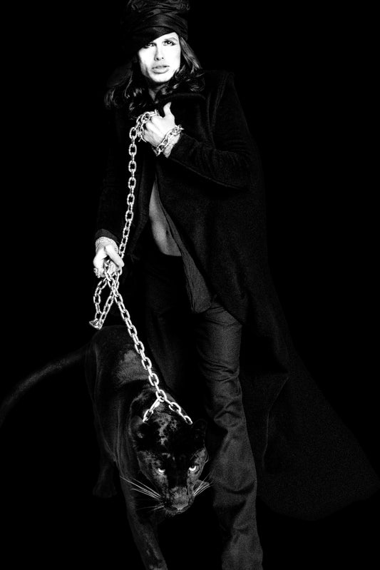 Steven Tyler, Panther Prowl, 1996