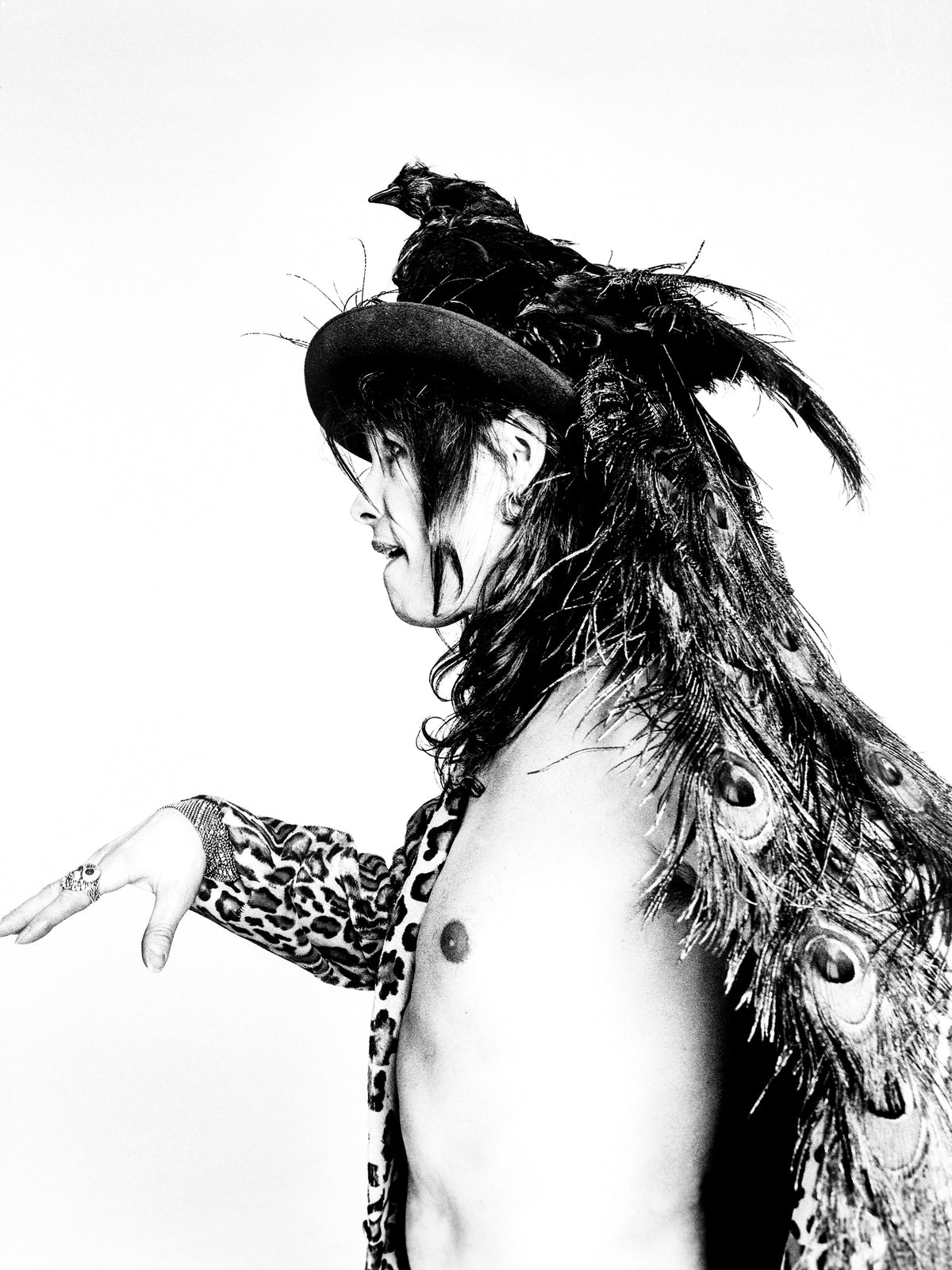 Steven Tyler, Birdman II, 1996