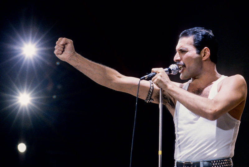 Queen, Freddie Mercury With Fist, 1985