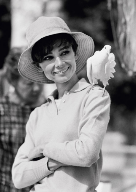 Audrey Hepburn with Dove, 1966