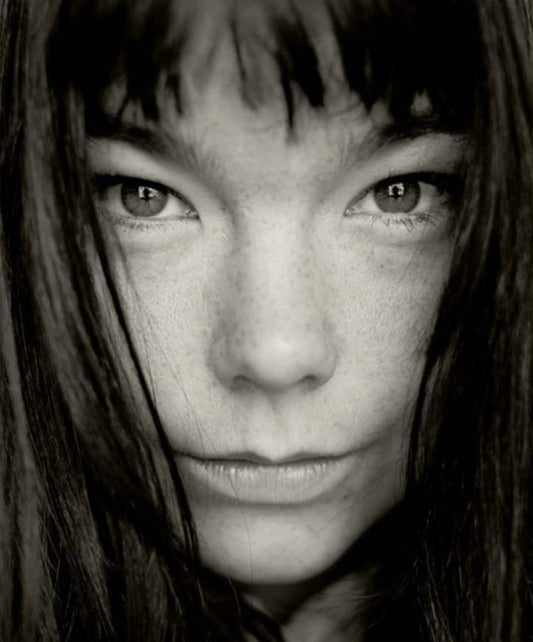 Björk, Los Angeles, 1993